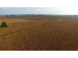 Property photo 14 - HIGH QUALITY CROPLAND AUCTION - 671+/- ACRES - FOUR FARMS - 8 TRACTS IN UNION COUNTY, INDIANA
