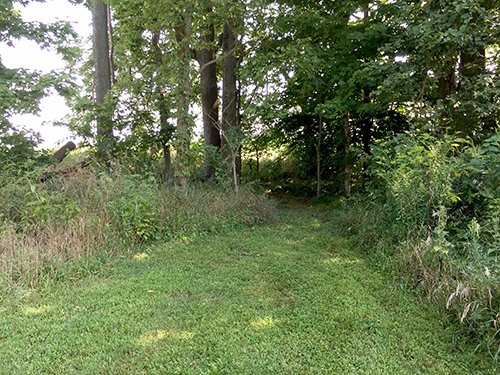 Property photo 6 - REAL ESTATE AUCTION IN WABASH COUNTY, INDIANA