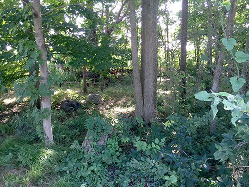 Property photo 4 - REAL ESTATE AUCTION IN WABASH COUNTY, INDIANA