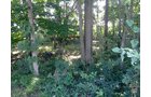 Property photo 4 - REAL ESTATE AUCTION IN WABASH COUNTY, INDIANA