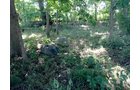 Property photo 5 - REAL ESTATE AUCTION IN WABASH COUNTY, INDIANA