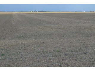 Property photo 56 - LAND AUCTION - 215+/- ACRES OFFERED IN 7 TRACTS IN EAST ALLEN COUNTY, INDIANA