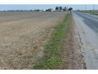 Property photo 44 - LAND AUCTION - 215+/- ACRES OFFERED IN 7 TRACTS IN EAST ALLEN COUNTY, INDIANA