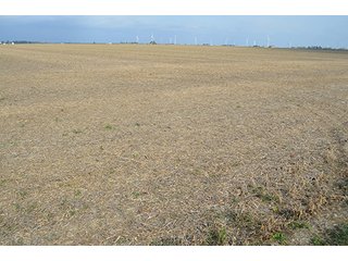 Property photo 45 - LAND AUCTION - 215+/- ACRES OFFERED IN 7 TRACTS IN EAST ALLEN COUNTY, INDIANA