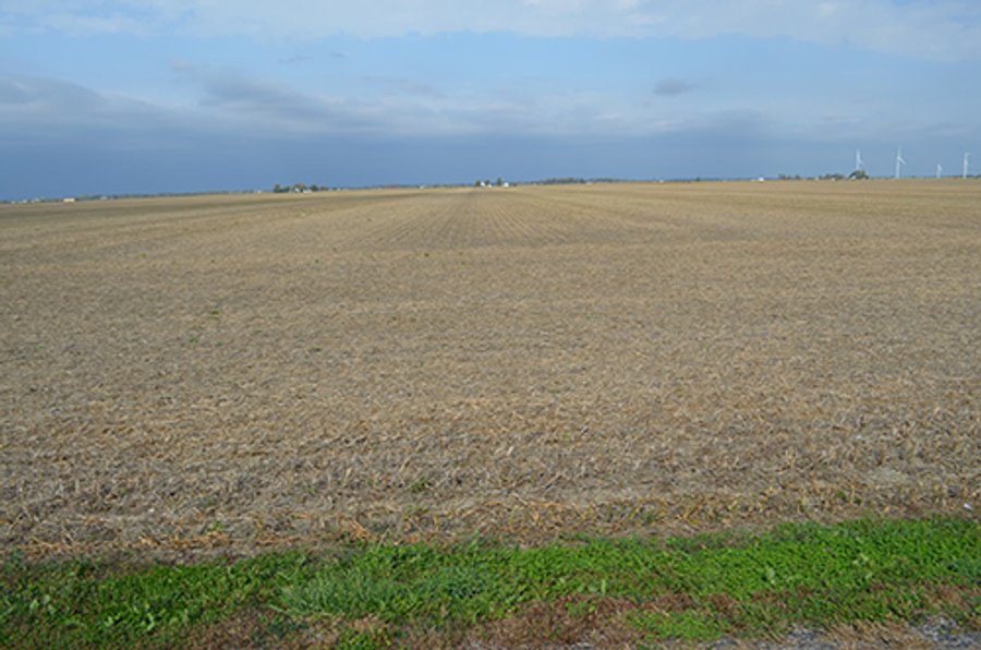 LAND AUCTION - 215+/- ACRES OFFERED IN 7 TRACTS IN EAST ALLEN COUNTY, INDIANA