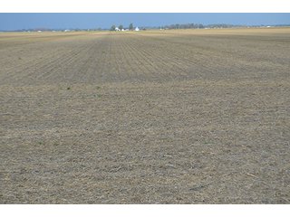 Property photo 32 - LAND AUCTION - 215+/- ACRES OFFERED IN 7 TRACTS IN EAST ALLEN COUNTY, INDIANA