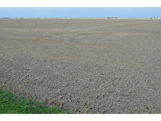Property photo 37 - LAND AUCTION - 215+/- ACRES OFFERED IN 7 TRACTS IN EAST ALLEN COUNTY, INDIANA