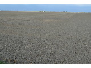 Property photo 12 - LAND AUCTION - 215+/- ACRES OFFERED IN 7 TRACTS IN EAST ALLEN COUNTY, INDIANA