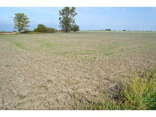 Property photo 57 - LAND AUCTION - 215+/- ACRES OFFERED IN 7 TRACTS IN EAST ALLEN COUNTY, INDIANA