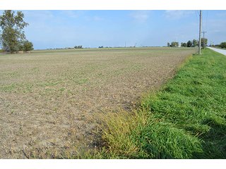 Property photo 39 - LAND AUCTION - 215+/- ACRES OFFERED IN 7 TRACTS IN EAST ALLEN COUNTY, INDIANA