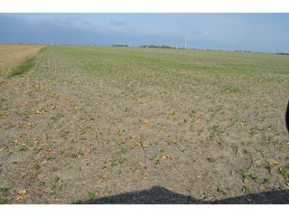 Property photo 55 - LAND AUCTION - 215+/- ACRES OFFERED IN 7 TRACTS IN EAST ALLEN COUNTY, INDIANA