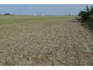 Property photo 50 - LAND AUCTION - 215+/- ACRES OFFERED IN 7 TRACTS IN EAST ALLEN COUNTY, INDIANA