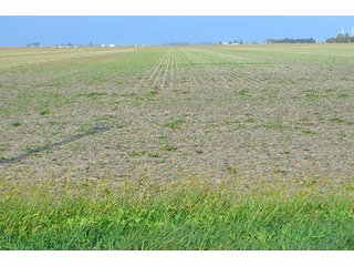 Property photo 49 - LAND AUCTION - 215+/- ACRES OFFERED IN 7 TRACTS IN EAST ALLEN COUNTY, INDIANA