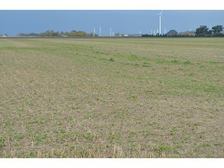 Property photo 54 - LAND AUCTION - 215+/- ACRES OFFERED IN 7 TRACTS IN EAST ALLEN COUNTY, INDIANA
