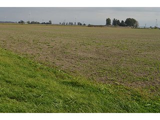 Property photo 47 - LAND AUCTION - 215+/- ACRES OFFERED IN 7 TRACTS IN EAST ALLEN COUNTY, INDIANA