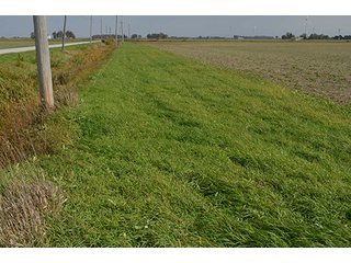 Property photo 33 - LAND AUCTION - 215+/- ACRES OFFERED IN 7 TRACTS IN EAST ALLEN COUNTY, INDIANA