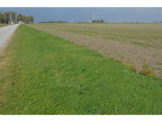 Property photo 51 - LAND AUCTION - 215+/- ACRES OFFERED IN 7 TRACTS IN EAST ALLEN COUNTY, INDIANA