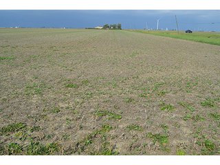 Property photo 15 - LAND AUCTION - 215+/- ACRES OFFERED IN 7 TRACTS IN EAST ALLEN COUNTY, INDIANA