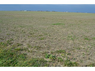 Property photo 48 - LAND AUCTION - 215+/- ACRES OFFERED IN 7 TRACTS IN EAST ALLEN COUNTY, INDIANA