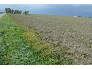 Property photo 36 - LAND AUCTION - 215+/- ACRES OFFERED IN 7 TRACTS IN EAST ALLEN COUNTY, INDIANA