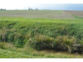 Property photo 31 - LAND AUCTION - 215+/- ACRES OFFERED IN 7 TRACTS IN EAST ALLEN COUNTY, INDIANA