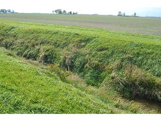 Property photo 13 - LAND AUCTION - 215+/- ACRES OFFERED IN 7 TRACTS IN EAST ALLEN COUNTY, INDIANA