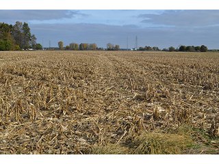Property photo 25 - LAND AUCTION - 215+/- ACRES OFFERED IN 7 TRACTS IN EAST ALLEN COUNTY, INDIANA