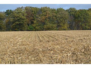 Property photo 17 - LAND AUCTION - 215+/- ACRES OFFERED IN 7 TRACTS IN EAST ALLEN COUNTY, INDIANA