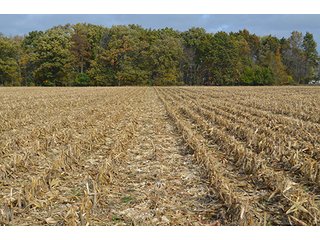 Property photo 21 - LAND AUCTION - 215+/- ACRES OFFERED IN 7 TRACTS IN EAST ALLEN COUNTY, INDIANA