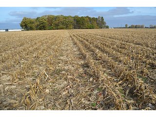 Property photo 1 - LAND AUCTION - 215+/- ACRES OFFERED IN 7 TRACTS IN EAST ALLEN COUNTY, INDIANA