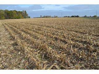 Property photo 5 - LAND AUCTION - 215+/- ACRES OFFERED IN 7 TRACTS IN EAST ALLEN COUNTY, INDIANA