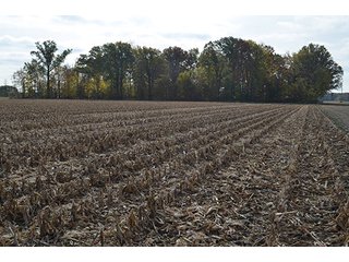 Property photo 3 - LAND AUCTION - 215+/- ACRES OFFERED IN 7 TRACTS IN EAST ALLEN COUNTY, INDIANA