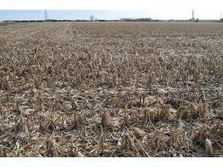 Property photo 29 - LAND AUCTION - 215+/- ACRES OFFERED IN 7 TRACTS IN EAST ALLEN COUNTY, INDIANA