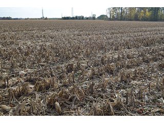 Property photo 20 - LAND AUCTION - 215+/- ACRES OFFERED IN 7 TRACTS IN EAST ALLEN COUNTY, INDIANA