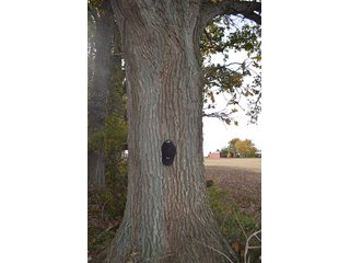 Property photo 16 - LAND AUCTION - 215+/- ACRES OFFERED IN 7 TRACTS IN EAST ALLEN COUNTY, INDIANA