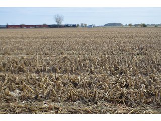 Property photo 23 - LAND AUCTION - 215+/- ACRES OFFERED IN 7 TRACTS IN EAST ALLEN COUNTY, INDIANA