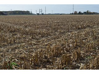 Property photo 19 - LAND AUCTION - 215+/- ACRES OFFERED IN 7 TRACTS IN EAST ALLEN COUNTY, INDIANA