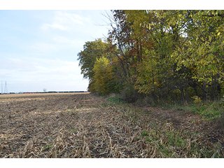Property photo 4 - LAND AUCTION - 215+/- ACRES OFFERED IN 7 TRACTS IN EAST ALLEN COUNTY, INDIANA