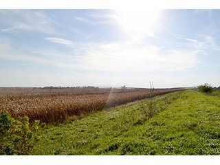 Property photo 16 - LAND AUCTION - 478+/- ACRES OFFERED IN 5 TRACTS IN SOUTHERN LAKE CO., IN