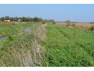 Property photo 17 - LAND AUCTION - 478+/- ACRES OFFERED IN 5 TRACTS IN SOUTHERN LAKE CO., IN