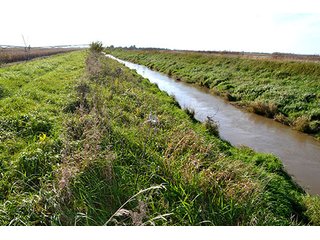 Property photo 18 - LAND AUCTION - 478+/- ACRES OFFERED IN 5 TRACTS IN SOUTHERN LAKE CO., IN
