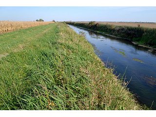 Property photo 15 - LAND AUCTION - 478+/- ACRES OFFERED IN 5 TRACTS IN SOUTHERN LAKE CO., IN