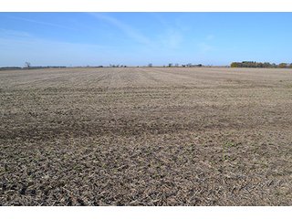Property photo 8 - LAND AUCTION - 478+/- ACRES OFFERED IN 5 TRACTS IN SOUTHERN LAKE CO., IN