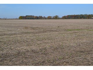 Property photo 6 - LAND AUCTION - 478+/- ACRES OFFERED IN 5 TRACTS IN SOUTHERN LAKE CO., IN