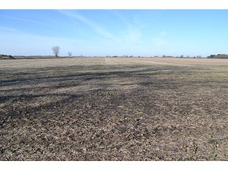 Property photo 5 - LAND AUCTION - 478+/- ACRES OFFERED IN 5 TRACTS IN SOUTHERN LAKE CO., IN