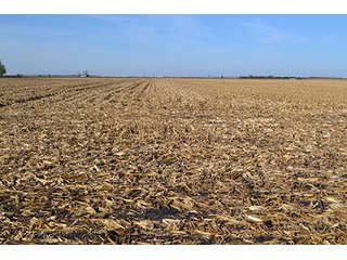Property photo 2 - LAND AUCTION - 478+/- ACRES OFFERED IN 5 TRACTS IN SOUTHERN LAKE CO., IN