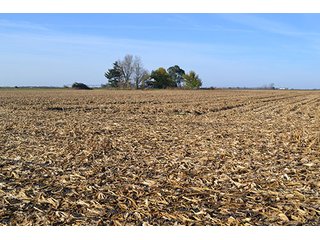 Property photo 3 - LAND AUCTION - 478+/- ACRES OFFERED IN 5 TRACTS IN SOUTHERN LAKE CO., IN