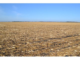 Property photo 1 - LAND AUCTION - 478+/- ACRES OFFERED IN 5 TRACTS IN SOUTHERN LAKE CO., IN
