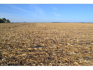 Property photo 7 - LAND AUCTION - 478+/- ACRES OFFERED IN 5 TRACTS IN SOUTHERN LAKE CO., IN