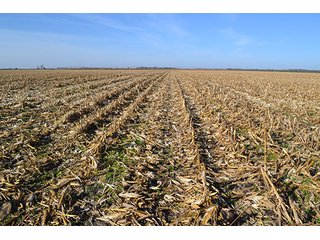 Property photo 4 - LAND AUCTION - 478+/- ACRES OFFERED IN 5 TRACTS IN SOUTHERN LAKE CO., IN